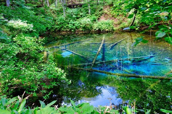 Lagoa Transparente Verão Hokkaido — Fotografia de Stock