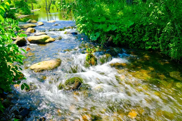 Καθαρό Ποτάμι Καλοκαίρι Hokkaido — Φωτογραφία Αρχείου