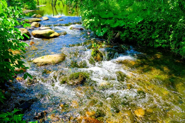 Καθαρό Ποτάμι Καλοκαίρι Hokkaido — Φωτογραφία Αρχείου