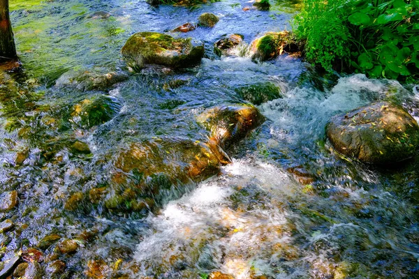 Río Limpio Verano Hokkaido —  Fotos de Stock