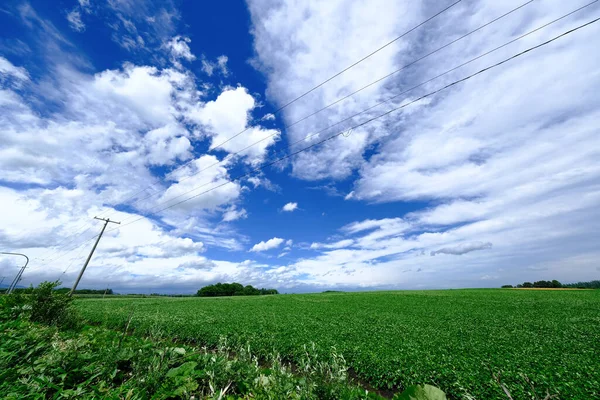 Céu Largo Verão Hokkaido — Fotografia de Stock