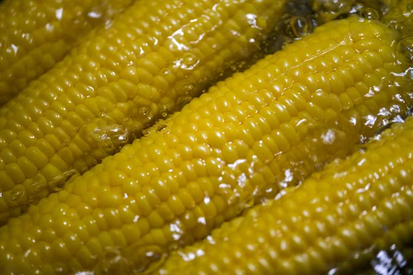 Főtt Kukorica Konyhában — Stock Fotó