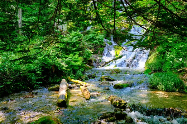 Καταρράκτη Και Δάσος Στο Hokkaido — Φωτογραφία Αρχείου