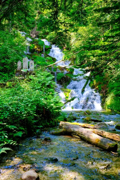 Waterfall Forest Hokkaido — Stock Photo, Image