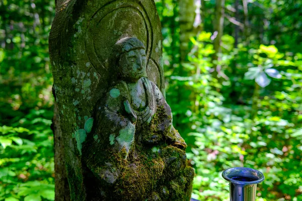 Estatua Del Budismo Bosque Verano — Foto de Stock