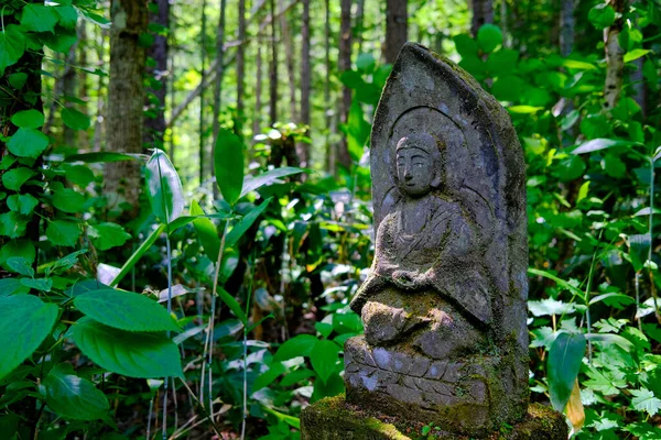 Yaz Ormanında Budizm Heykeli — Stok fotoğraf