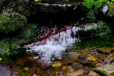 Rishiri Adası 'nda kaynak suyu