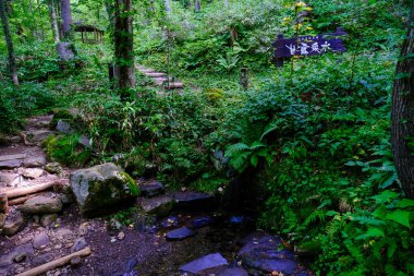 Rishiri Adası 'nda kaynak suyu