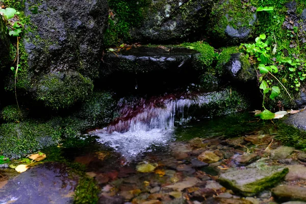 Spring Water Rishiri Island — Stock Photo, Image