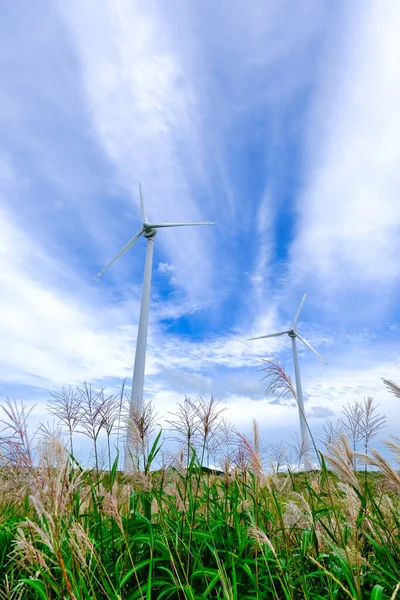 北海道の風力発電は — ストック写真