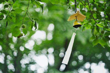 Yeşil ormanda rüzgar çanları