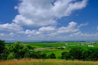 Yaz Hokkaido 'sunda çeltik tarlası