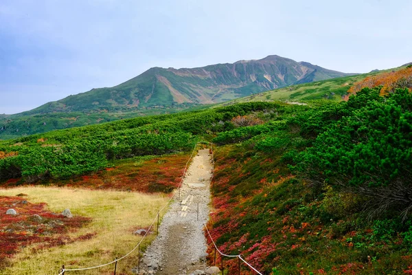 旭岳北海道の紅葉 — ストック写真