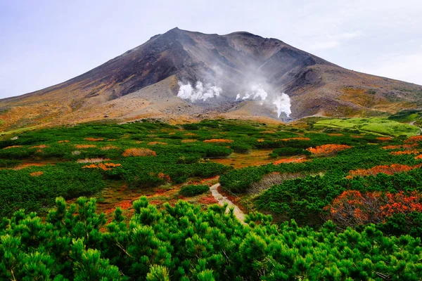 Őszi Levelek Asahidake Hokkaido — Stock Fotó