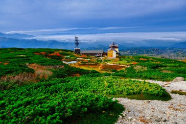 Sonbahar yaprakları asahidake hokkaido 'da