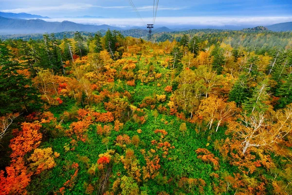 Hojas Otoño Asahidake Hokkaido — Foto de Stock