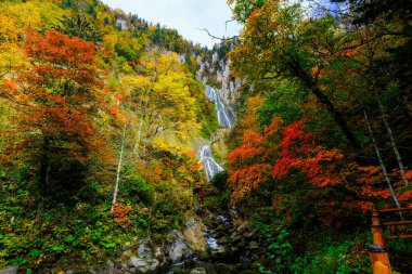 Hokkaido 'daki Hagoromo Şelalesi