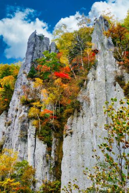 Dik yamaçlarda sonbahar yaprakları