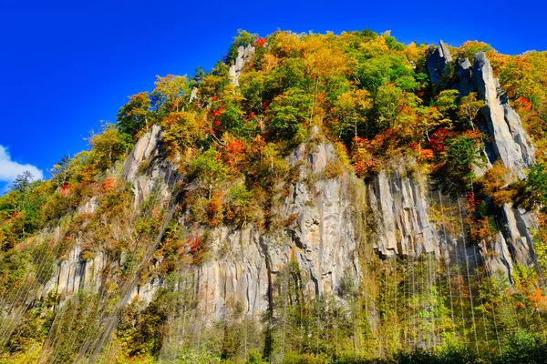 Herfst Bladeren Steile Kliffen — Stockfoto