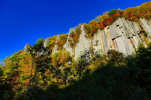 Herfst Bladeren Steile Kliffen — Stockfoto