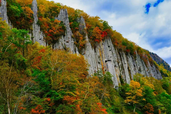 Herfst Bladeren Steile Kliffen — Stockfoto