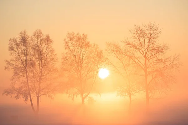 cold fog and sunrise in winter hokkaido