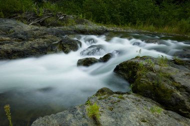 Nehir yavaş bir kepenkle fotoğraflandı