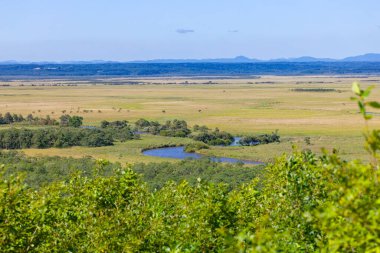 Kushiro bataklığı Hosooka 'nın bakış açısından görüldü.