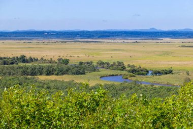Kushiro bataklığı Hosooka 'nın bakış açısından görüldü.