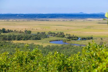 Kushiro bataklığı Hosooka 'nın bakış açısından görüldü.