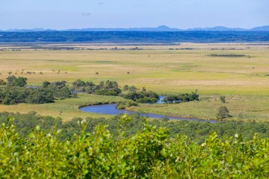 Kushiro bataklığı Hosooka 'nın bakış açısından görüldü.