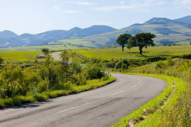 Hokkaido 'daki güzel tepe yolu