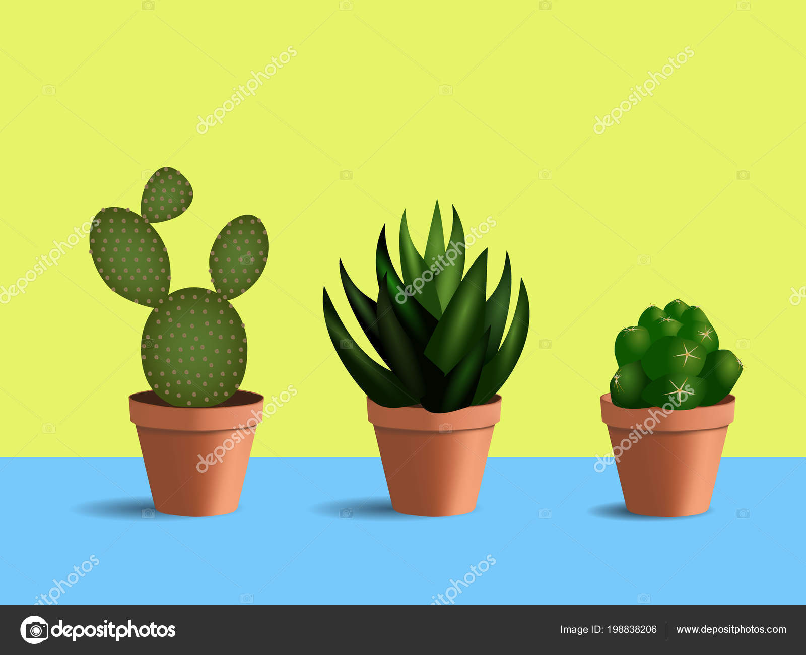 3D Set Of 3 Succulents In Round Pots Indoor Plants 3D Set Of 3 Succulents In Round Pots Indoor Plants