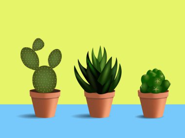 yuvarlak tencere 3 succulents 3D kümesi. Mavi Masa ve sarı arka plan üzerinde iç mekan bitkileri.