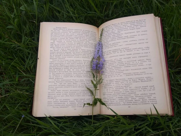 Libro Con Una Flor Marcador Está Acostado Hierba Leyendo Auto — Foto de Stock