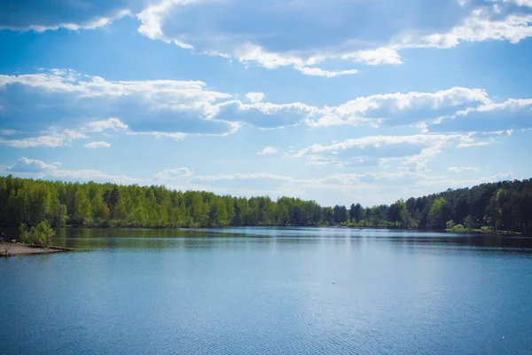 güneşli bir günde, pitoresk bir göl kıyısında - bir orman