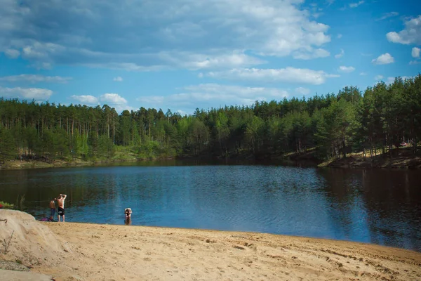 Picturesque Lake Sunny Day Shore Forest — Stock Photo, Image