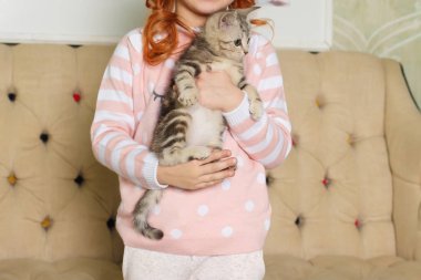 çizgili bir kedi yavrusu bir bej kanepe arka plan üzerinde tutan kız