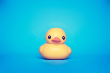 Sarı plastik ördek mavi arka planda. 