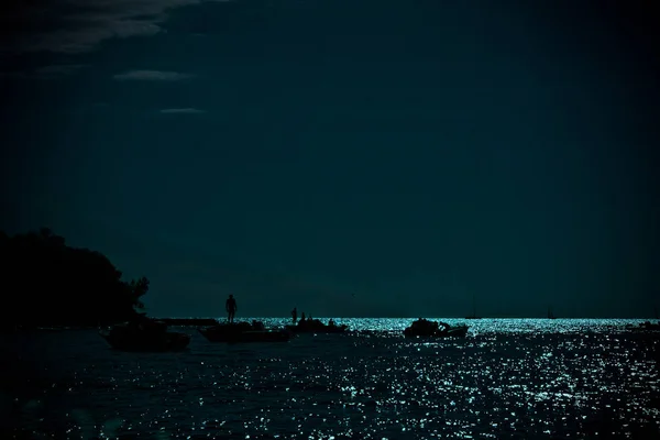 night sea landscape. boats sailing in the moonlight.
