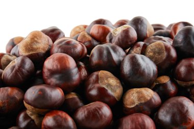 Birçok soyulmuş kestane beyaz arka plan üzerinde yalan. İzole.