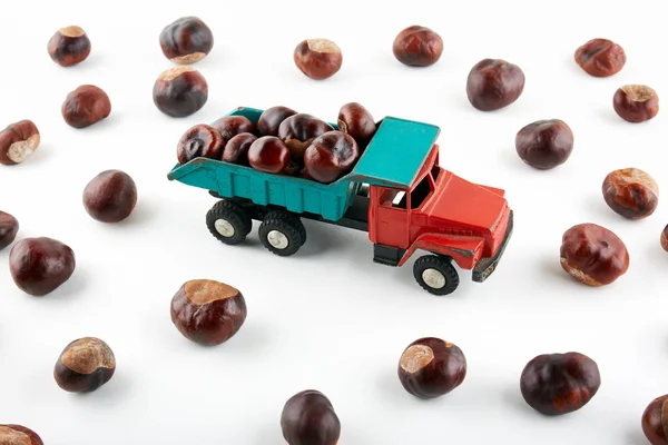 Chestnuts in toy truck on white background.