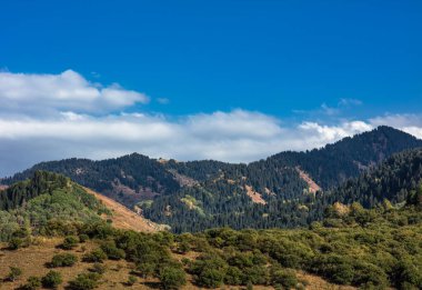 Dağları ve mavi gökyüzü olan güzel bir manzara.