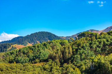Dağları ve mavi gökyüzü olan güzel bir manzara.