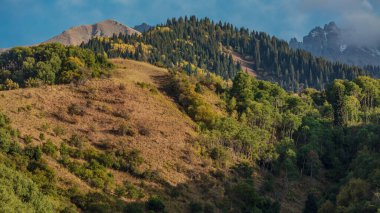 Dağlarda bir dağla sonbahar manzarası. Sonbahar dağlarda.