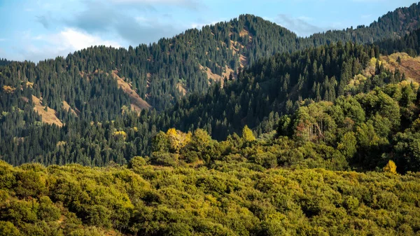 Dağları olan güzel bir manzara