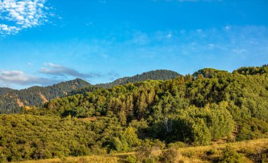 Dağlarda sonbahar manzarası