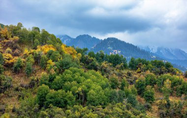 Ağaçlar ve dağlarla kaplı dağ manzarası