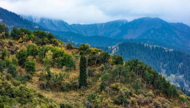 Dağların güzel manzarası
