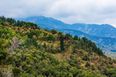 Dağları ve mavi gökyüzü olan güzel bir manzara.